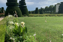 Château de Pizay