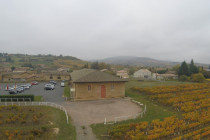 Compagnon du Beaujolais
