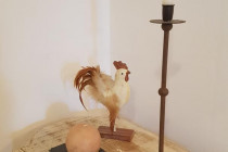 Gîtes de France