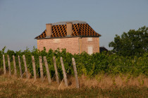 SAS HDV
