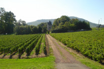 Gîtes de France