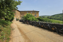 Vélo Via Dorées