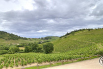 Gîtes de France