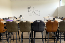 parlonsvins