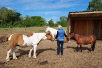 (Equi)Coaching Grandeur Nature