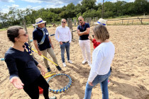 (Equi)Coaching Grandeur Nature