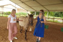 (Equi)Coaching Grandeur Nature