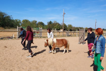 (Equi)Coaching Grandeur Nature