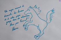 (Equi)Coaching Grandeur Nature