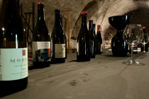 Beaujolais Wine Experiences