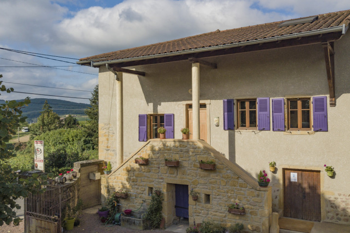 Domaine de Roche Cattin