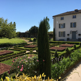 Domaine Morgon La Javernière