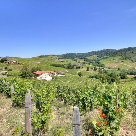 Les 3 gîtes  du vignoble Aufranc