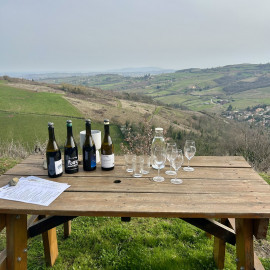Beaujolais Wine Experiences