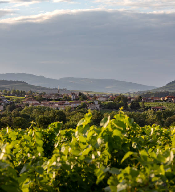 5 raisons d'organiser son séminaire en Beaujolais